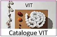 Catalogue VIT